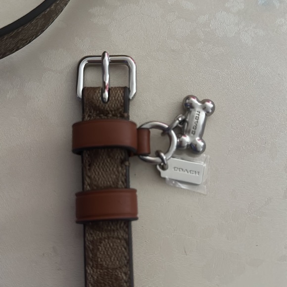 Coach dog collar. Small. - Picture 2 of 4